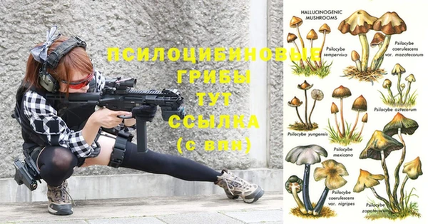 кокаин Рославль