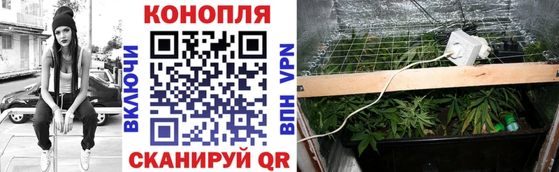 Марихуана ГИДРОПОН  Купить закладки  Ртищево 